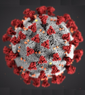 ultrastructural morphology exhibited by coronaviruses