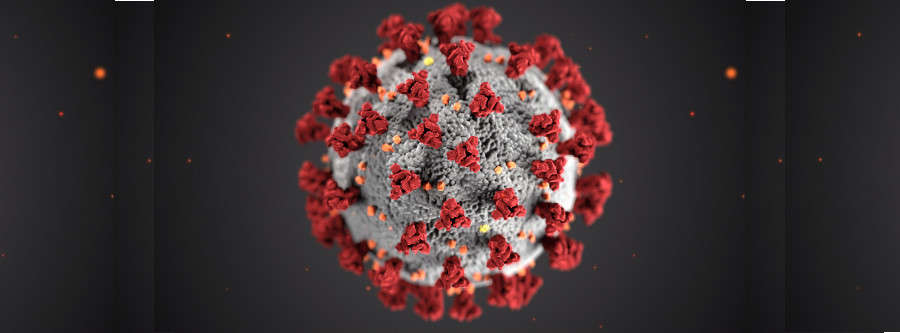 ultrastructural morphology exhibited by coronaviruses