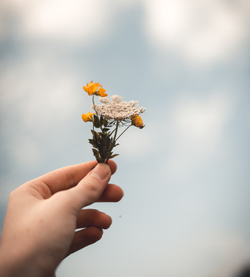 person holding flowers